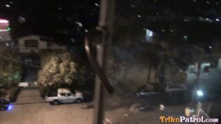 Nighttime Scene of a Residential Street with Cars and Trees